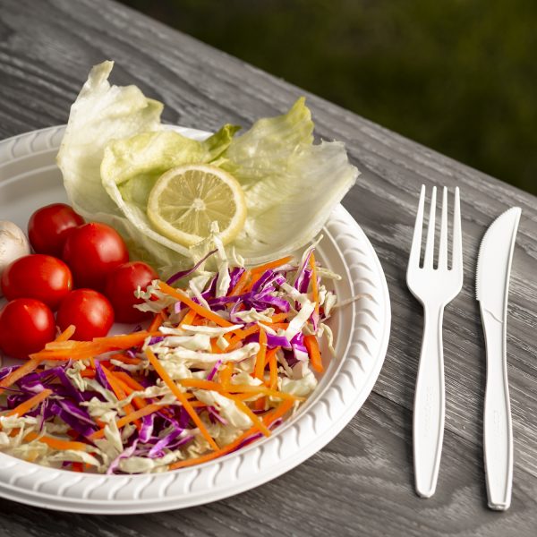 PLATO 25CM - Imagen 3